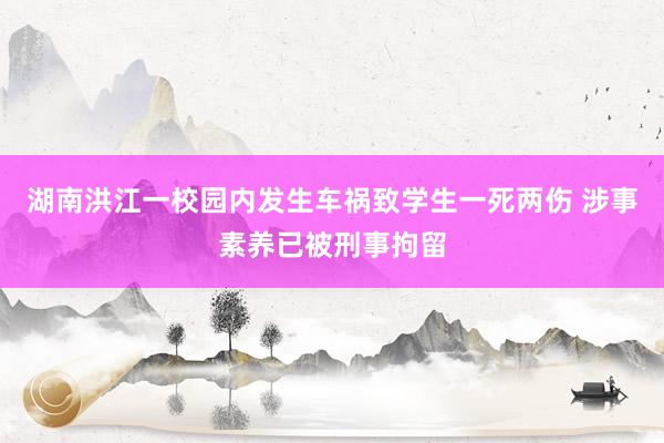 湖南洪江一校园内发生车祸致学生一死两伤 涉事素养已被刑事拘留