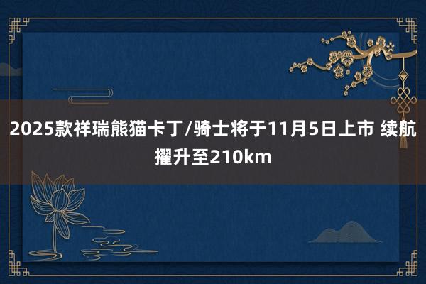 2025款祥瑞熊猫卡丁/骑士将于11月5日上市 续航擢升至210km