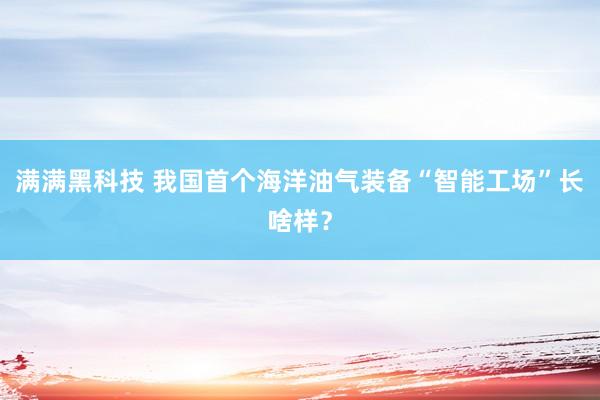 满满黑科技 我国首个海洋油气装备“智能工场”长啥样？