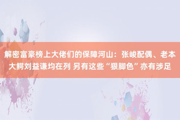 解密富豪榜上大佬们的保障河山：张峻配偶、老本大鳄刘益谦均在列 另有这些“狠脚色”亦有涉足