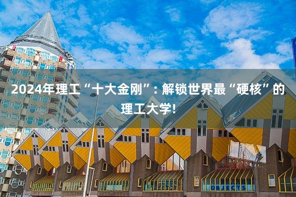 2024年理工“十大金刚”: 解锁世界最“硬核”的理工大学!