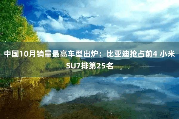 中国10月销量最高车型出炉：比亚迪抢占前4 小米SU7排第25名